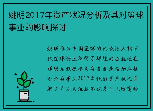 姚明2017年资产状况分析及其对篮球事业的影响探讨